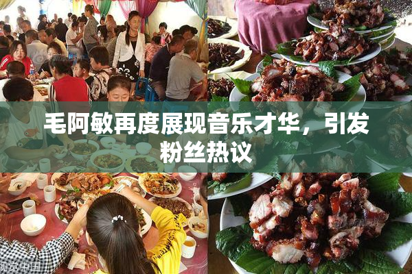 毛阿敏再度展现音乐才华，引发粉丝热议