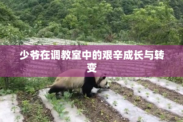 少爷在调教室中的艰辛成长与转变