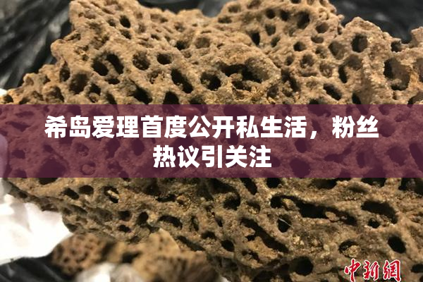 希岛爱理首度公开私生活，粉丝热议引关注