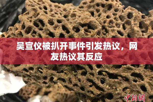 吴宣仪被扒开事件引发热议，网友热议其反应