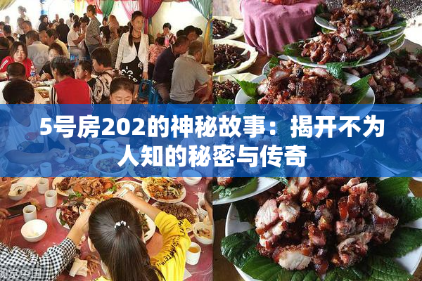 5号房202的神秘故事：揭开不为人知的秘密与传奇