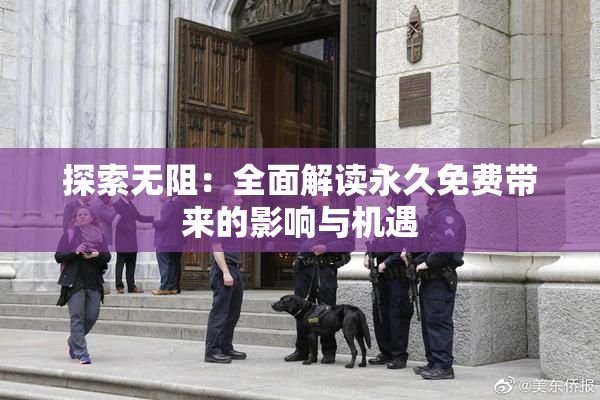 探索无阻：全面解读永久免费带来的影响与机遇