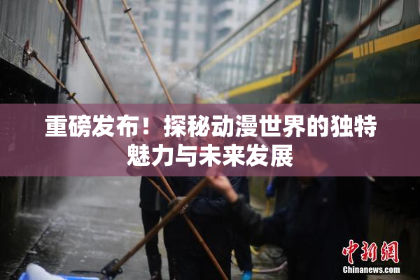 重磅发布！探秘动漫世界的独特魅力与未来发展