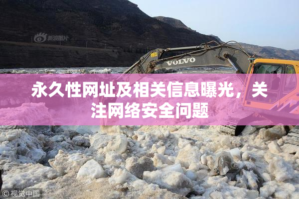 永久性网址及相关信息曝光，关注网络安全问题