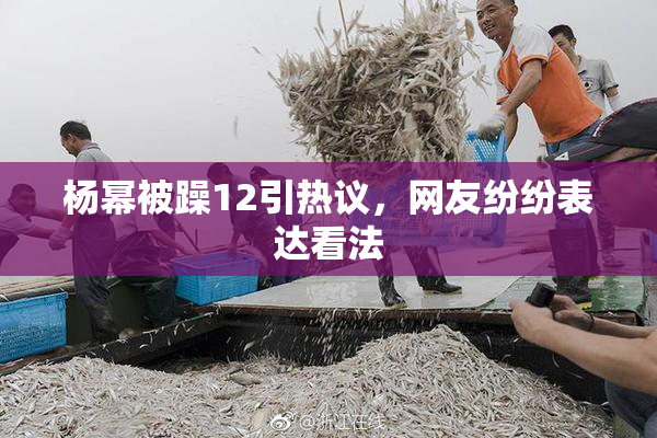 杨幂被躁12引热议，网友纷纷表达看法
