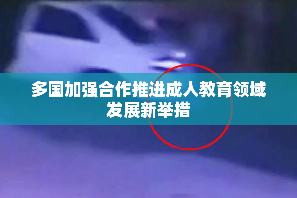 多国加强合作推进成人教育领域发展新举措