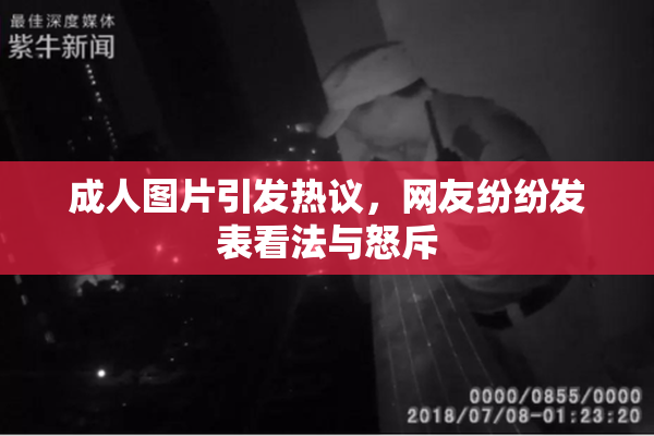 成人图片引发热议，网友纷纷发表看法与怒斥