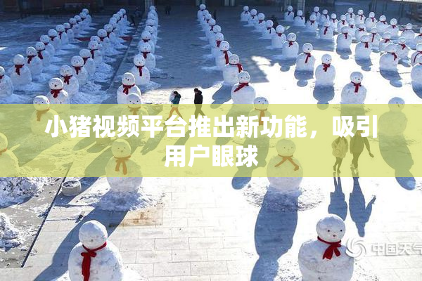 小猪视频平台推出新功能，吸引用户眼球