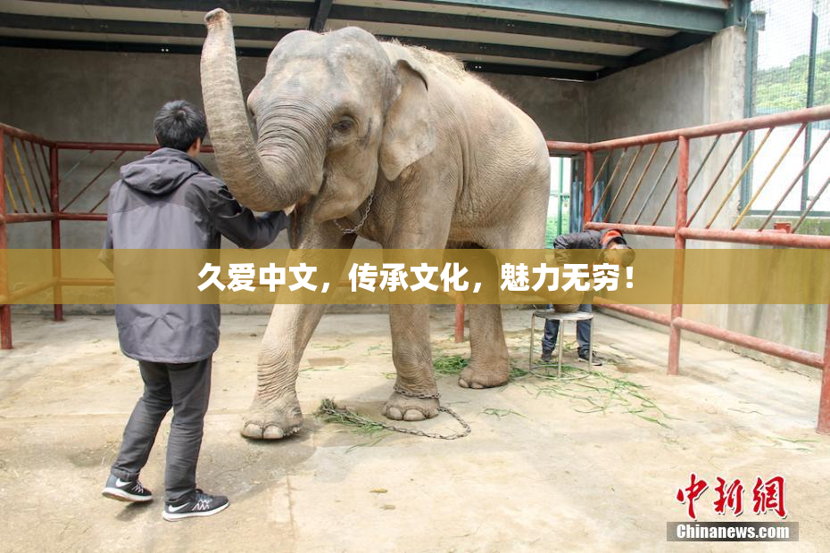 久爱中文，传承文化，魅力无穷！