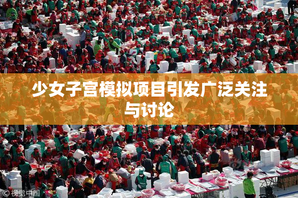 少女子宫模拟项目引发广泛关注与讨论