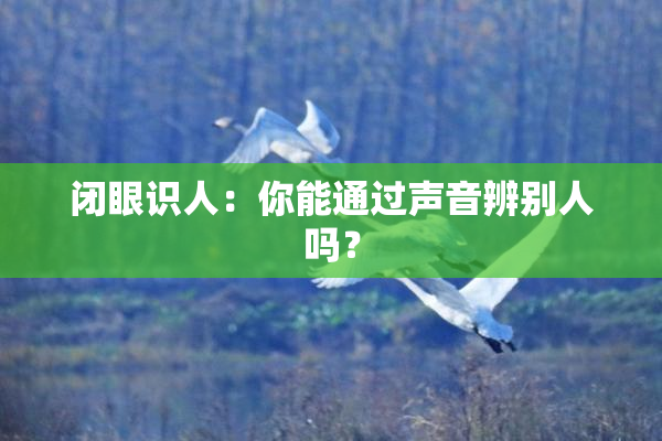 闭眼识人：你能通过声音辨别人吗？