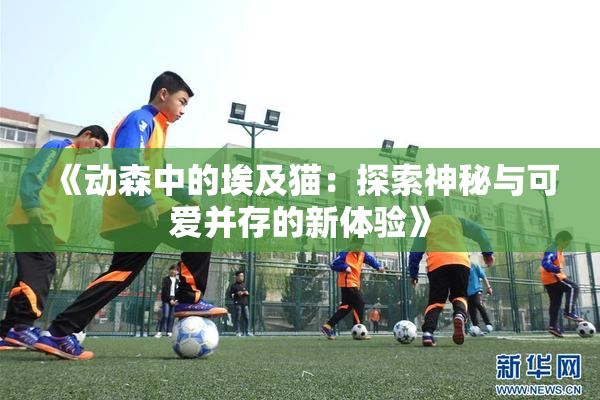 《动森中的埃及猫：探索神秘与可爱并存的新体验》