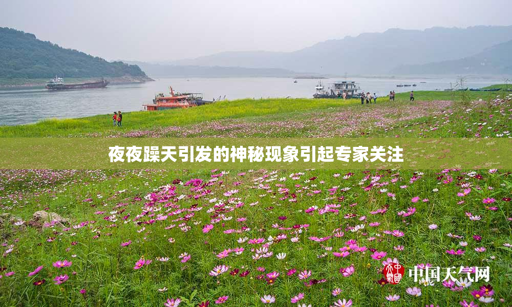 夜夜躁天引发的神秘现象引起专家关注