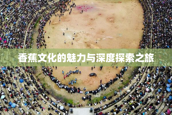 香蕉文化的魅力与深度探索之旅