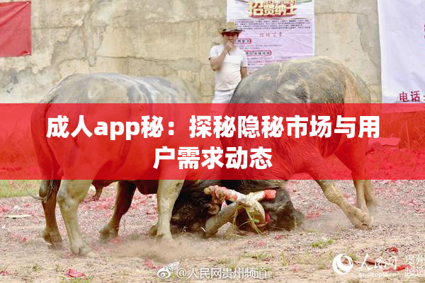 成人app秘：探秘隐秘市场与用户需求动态
