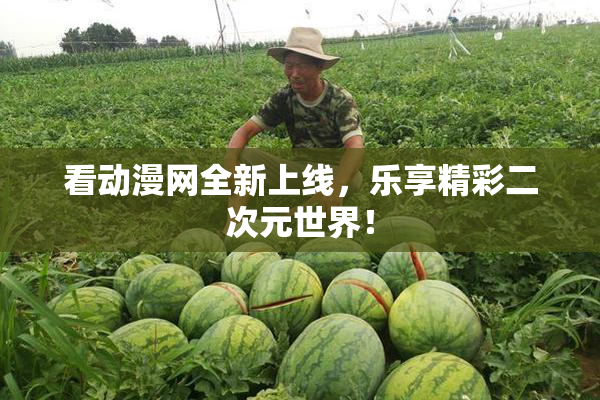 看动漫网全新上线，乐享精彩二次元世界！