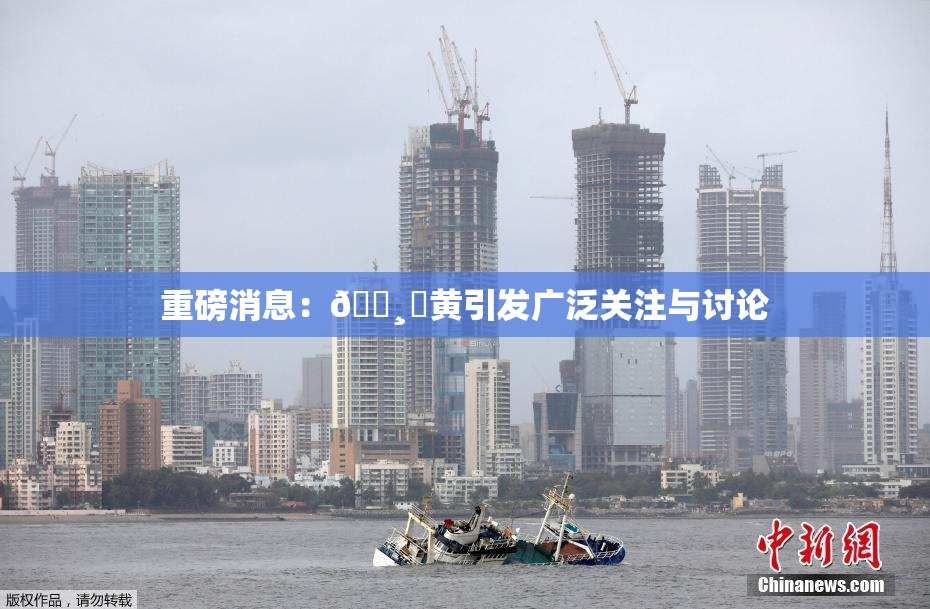 重磅消息：🌸‌黄引发广泛关注与讨论
