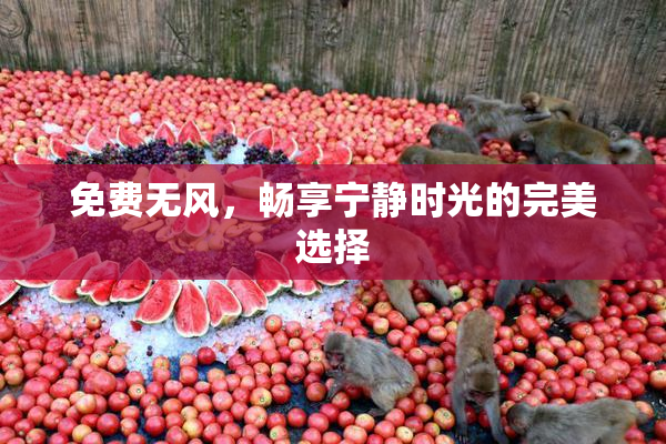 免费无风，畅享宁静时光的完美选择
