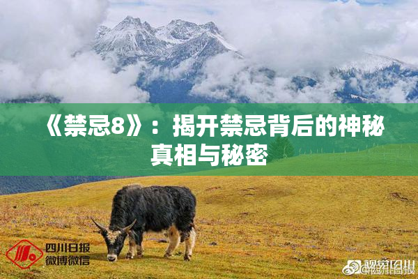 《禁忌8》：揭开禁忌背后的神秘真相与秘密