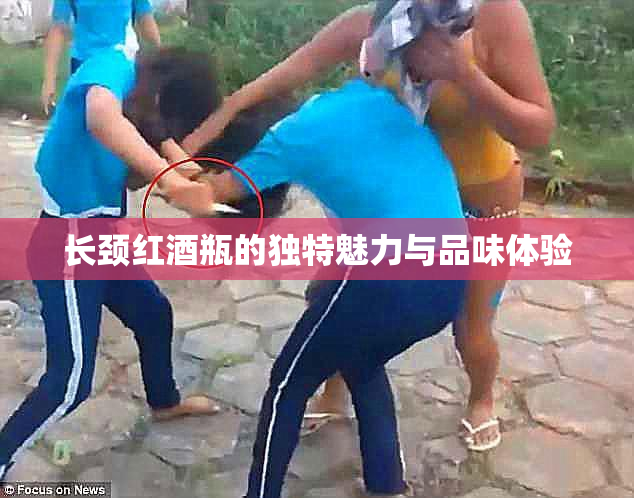 长颈红酒瓶的独特魅力与品味体验