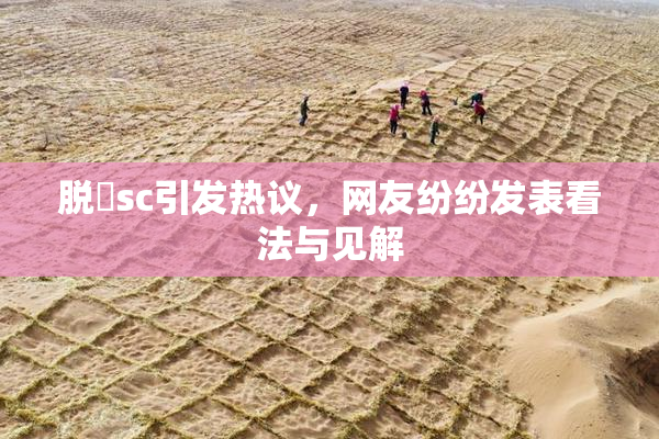 脱糞sc引发热议，网友纷纷发表看法与见解