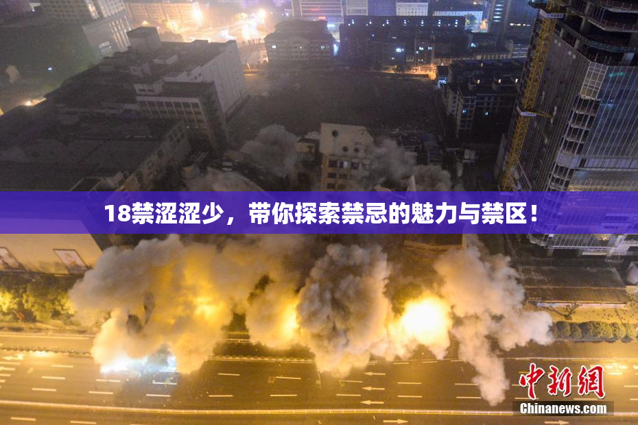 18禁涩涩少，带你探索禁忌的魅力与禁区！