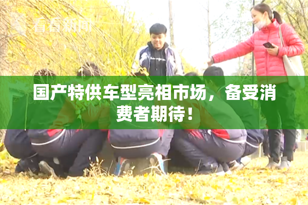 国产特供车型亮相市场，备受消费者期待！