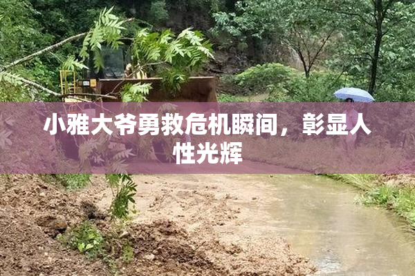 小雅大爷勇救危机瞬间，彰显人性光辉