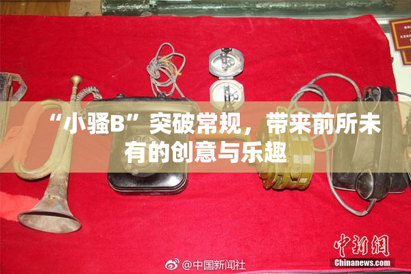 “小骚B”突破常规，带来前所未有的创意与乐趣