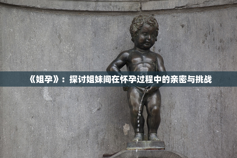 《姐孕》：探讨姐妹间在怀孕过程中的亲密与挑战