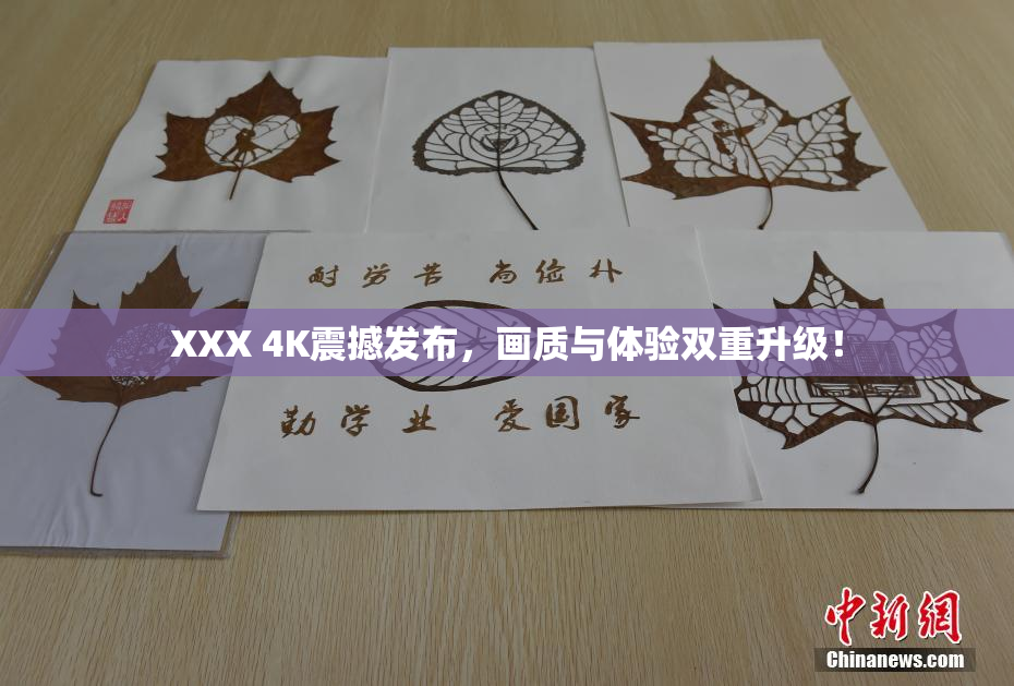 XXX 4K震撼发布，画质与体验双重升级！