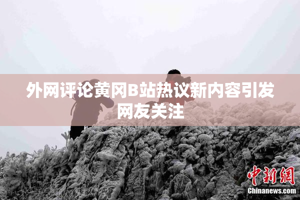 外网评论黄冈B站热议新内容引发网友关注