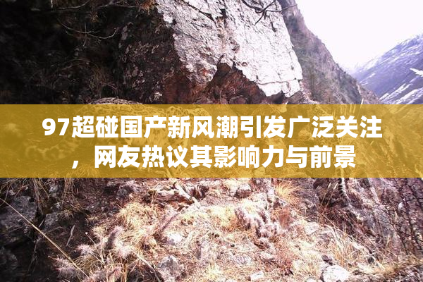 97超碰国产新风潮引发广泛关注，网友热议其影响力与前景