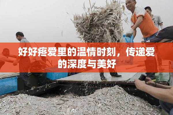 好好疼爱里的温情时刻，传递爱的深度与美好