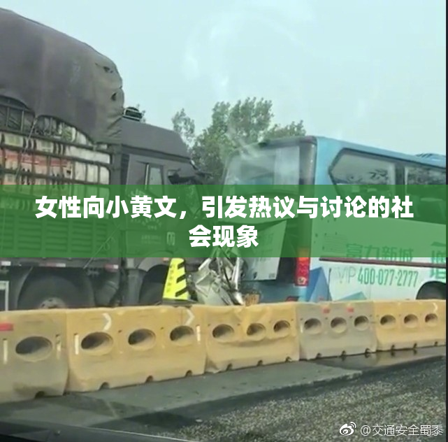 女性向小黄文，引发热议与讨论的社会现象