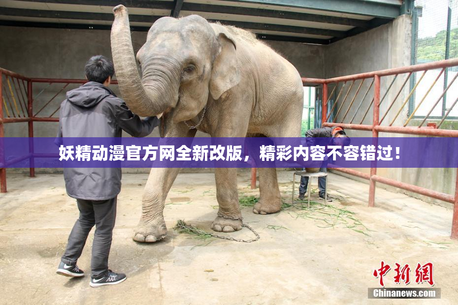 妖精动漫官方网全新改版，精彩内容不容错过！