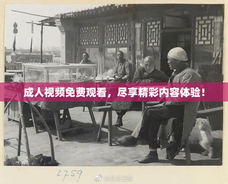 成人视频免费观看，尽享精彩内容体验！