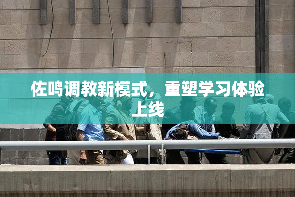 佐鸣调教新模式，重塑学习体验上线
