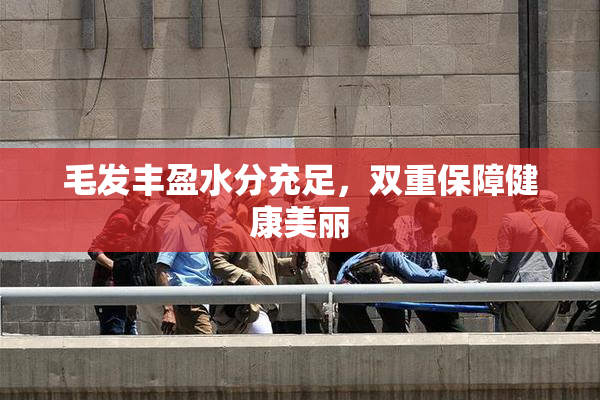 毛发丰盈水分充足，双重保障健康美丽