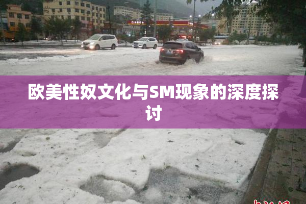 欧美性奴文化与SM现象的深度探讨