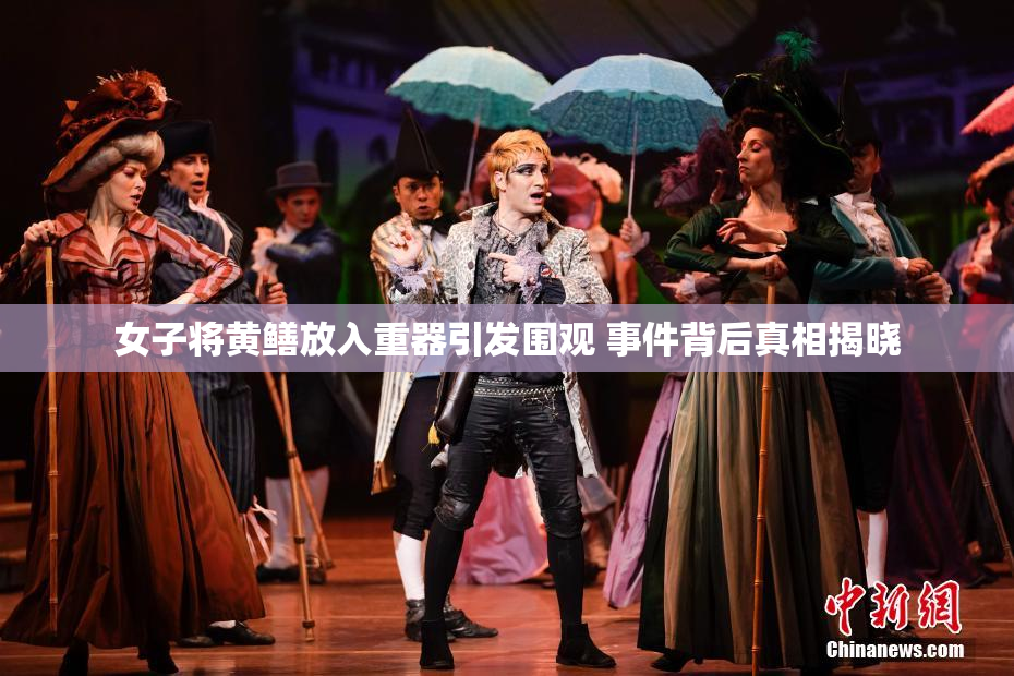 女子将黄鳝放入重器引发围观 事件背后真相揭晓