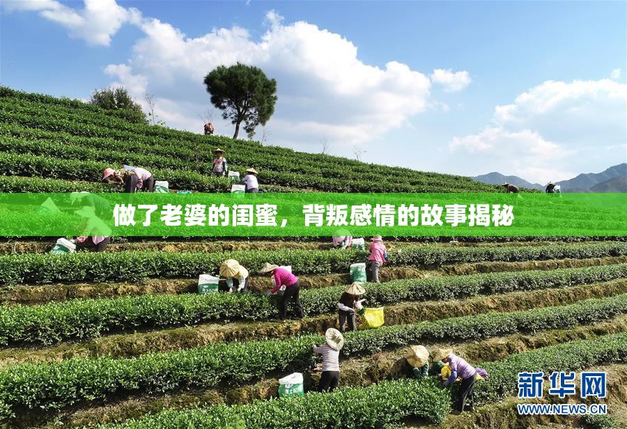 做了老婆的闺蜜，背叛感情的故事揭秘