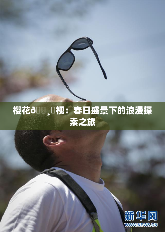 樱花🌸‌视：春日盛景下的浪漫探索之旅