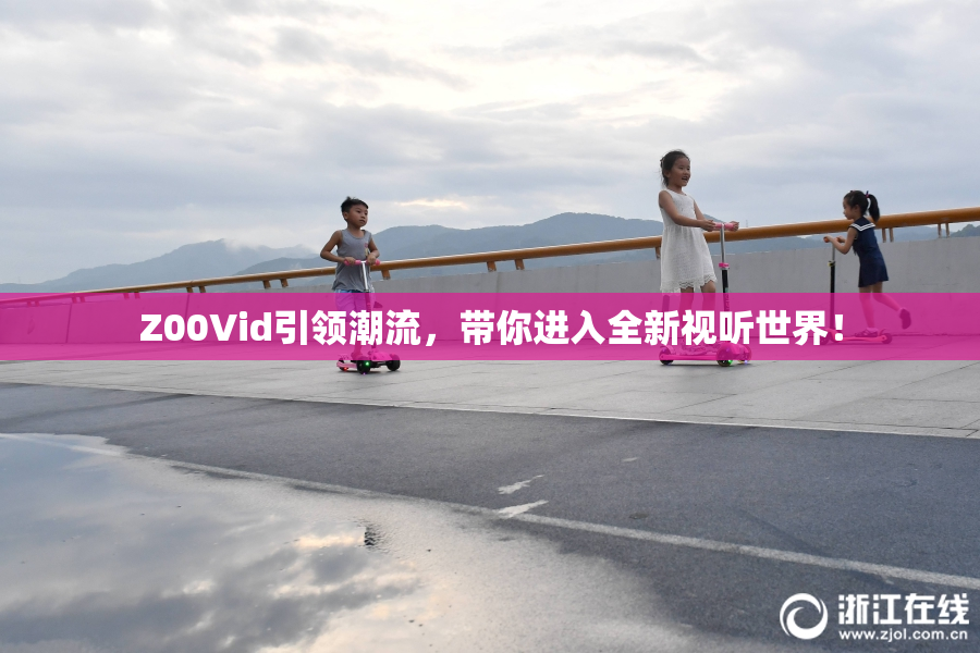 Z00Vid引领潮流，带你进入全新视听世界！