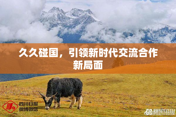 久久碰国，引领新时代交流合作新局面