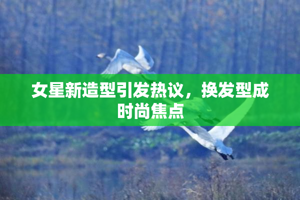 女星新造型引发热议，换发型成时尚焦点
