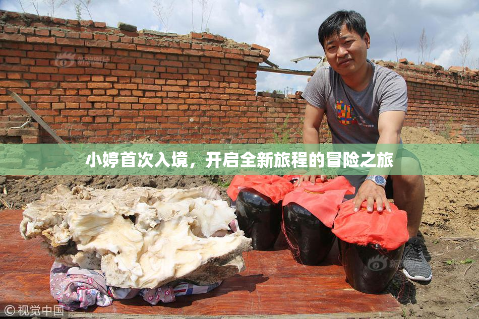 小婷首次入境，开启全新旅程的冒险之旅