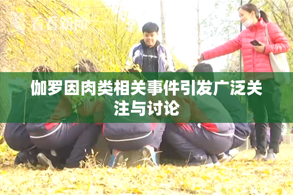 伽罗因肉类相关事件引发广泛关注与讨论
