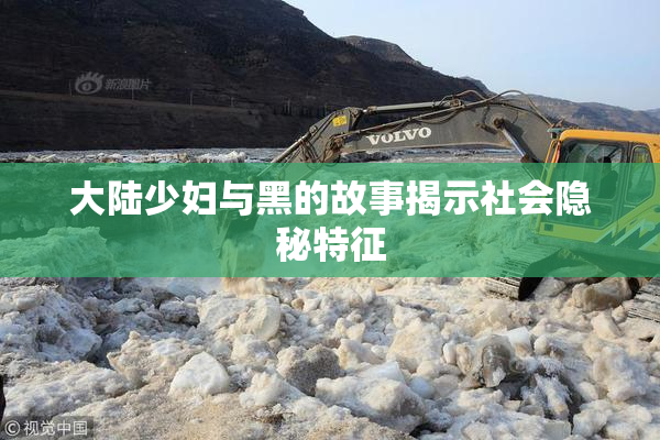 大陆少妇与黑的故事揭示社会隐秘特征