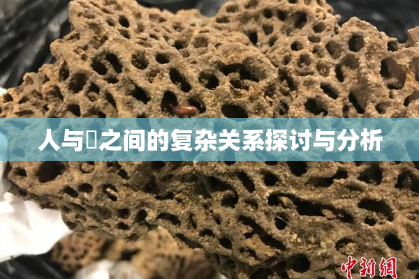 人与嘼之间的复杂关系探讨与分析